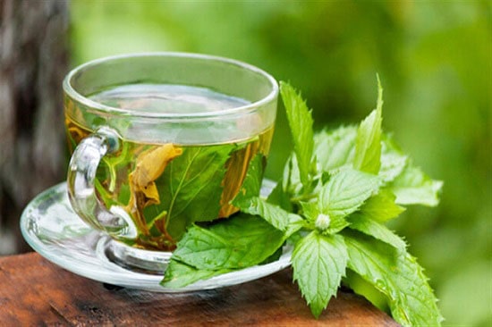 خواص مفید بادرنجبویه جهت درمان عفونت زنان خواص مفید بادرنجبویه جهت درمان عفونت زنان