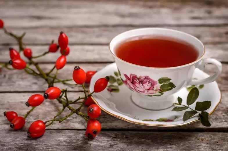 خواص مفید نسترن برای لاغری