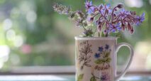 خواص گل گاوزبان برای ریه