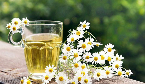 مهمترین خواص بابونه برای سلامتی انسان