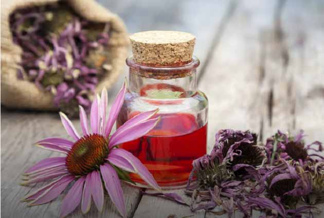 11 خواص سرخارگل برای بیماری های پوستی، قلبی و افسردگی