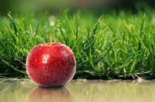 خواص سیب برای بیماری های عفونتی