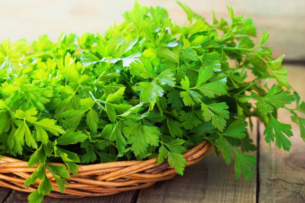 خواص جعفری برای مردان