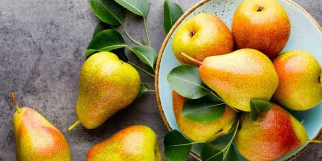 خواص گلابی برای سرماخوردگی