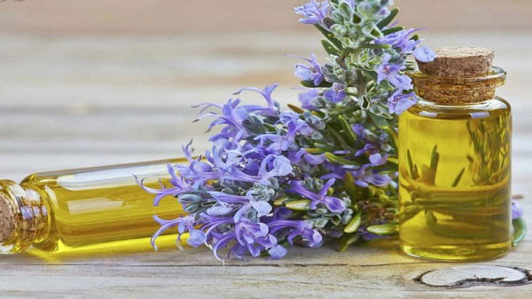 خواص رزماری برای مو