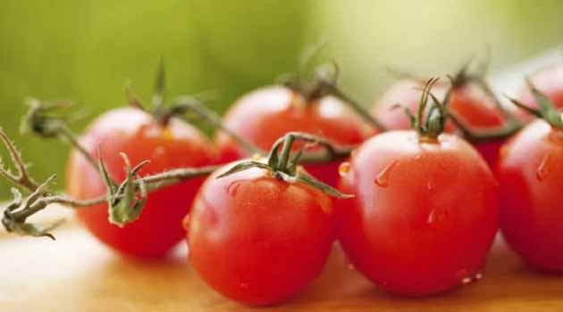 خواص مفید گوجه فرنگی برای لاغری