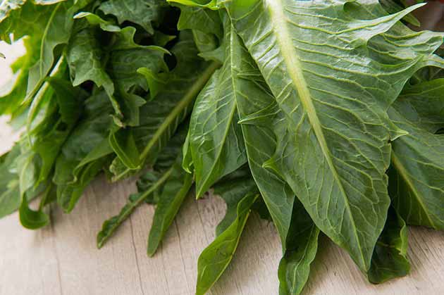 خواص کاسنی و طریقه مصرف