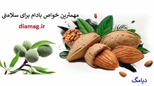 خواص مفید بادام خواص مفید بادام