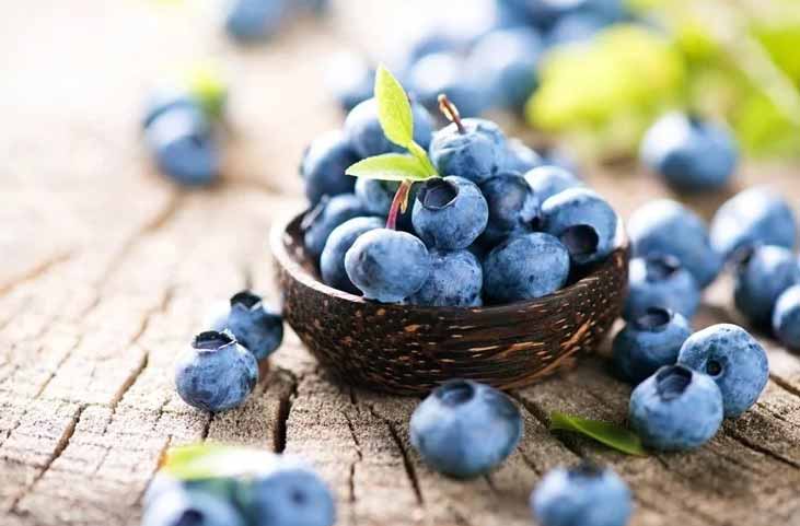 خواص بلوبری برای لاغری، پوست، دیابت و معده