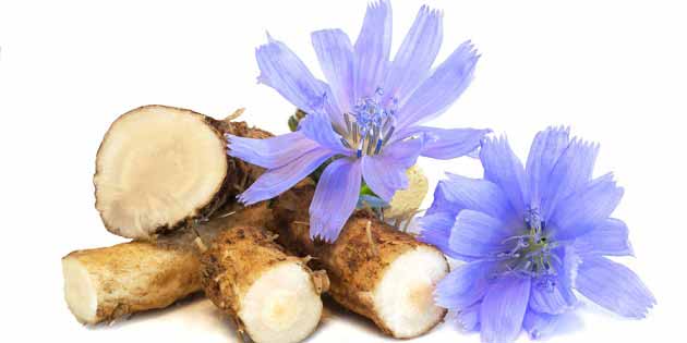 مهمترین خواص کاسنی برای کبد چرب + کم خونی تا لاغری