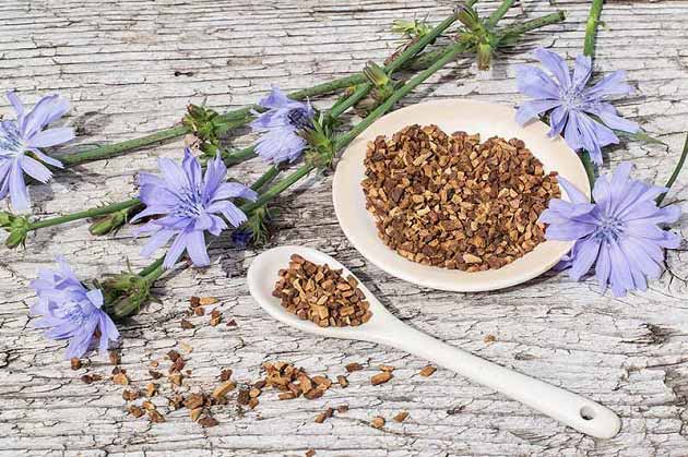 خواص کاسنی برای افسردگی، اعصاب و آسم