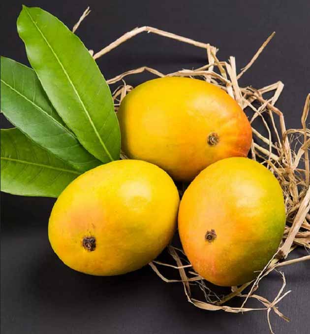 خواص انبه برای بیماری های قلبی، سرطان و عصبی