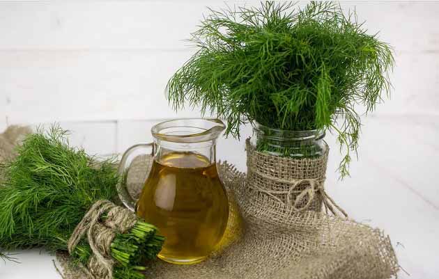 خواص شوید برای سلامتی
