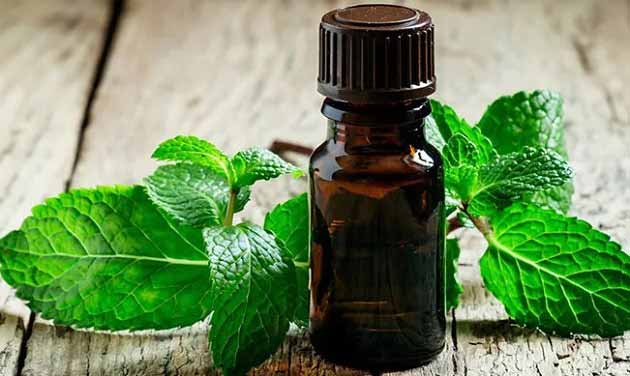 خواص بادرنجبویه برای پوست، اضطراب و بیماری های قلبی