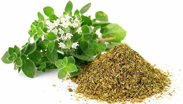 خواص پونه برای درد، آرامبخشی، معده و روده