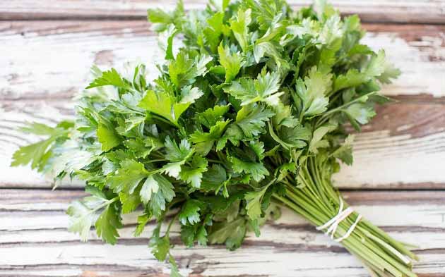 خواص جعفری برای قاعدگی و لاغری