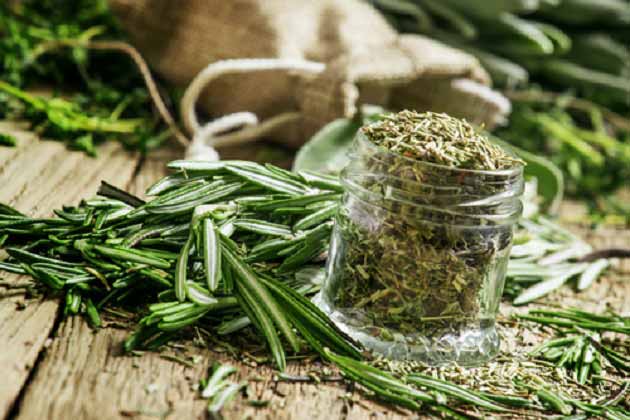 مهمترین خواص آویشن برای افزایش تمرکز + دیابت تا پوست