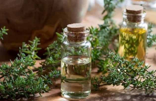 خواص آویشن برای گوارش، حافظه و تمرکز