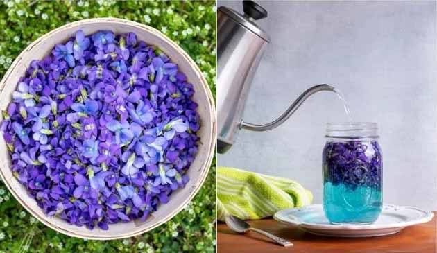 خواص گل بنفشه برای مشکلات روانی، پوستی و تنفسی