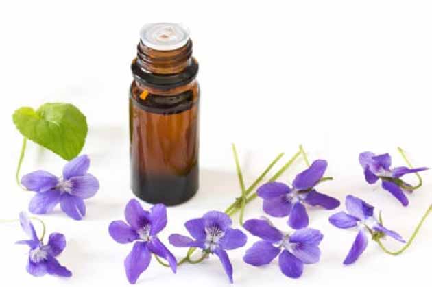 خواص گل بنفشه برای بیماری های عضلانی، دیابت و سرطان