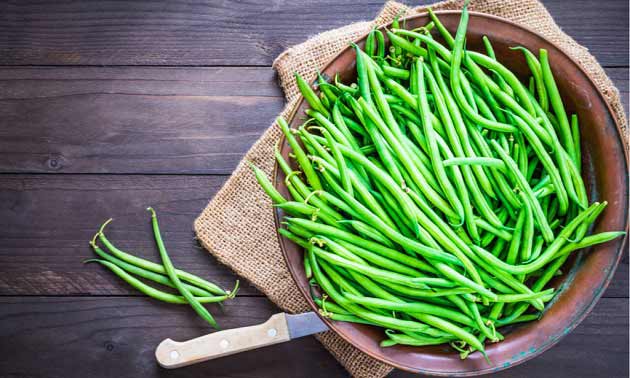 مهمترین خواص لوبیا برای گوارش + دیابت، لاغری تا کم خونی