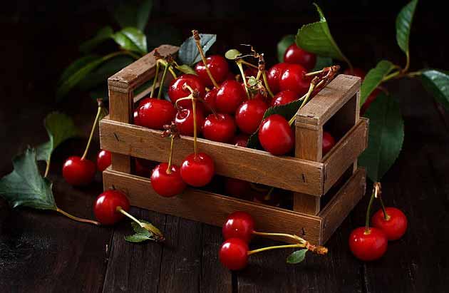 خواص گیلاس