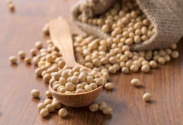 خواص سویا برای سلامت استخوانها و دیابت خواص سویا برای سلامت استخوانها و دیابت