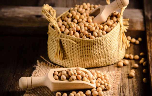 خواص سویا خواص سویا