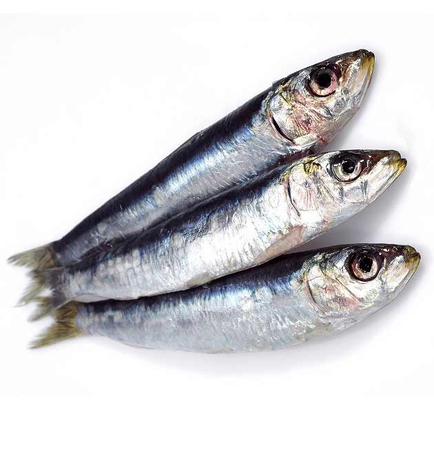 خواص ماهی ساردین برای بیماری های قلبی و التهابات مفصلی