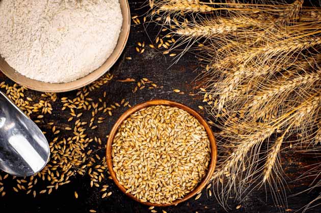 مهمترین خواص گندم برای قلب + سرطان، پوست تا افزایش انرژی مهمترین خواص گندم برای قلب + سرطان، پوست تا افزایش انرژی