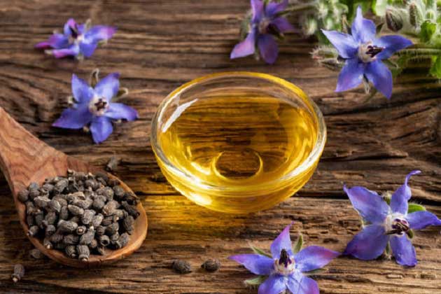 فواید و مضرات گل گاوزبان برای اعصاب