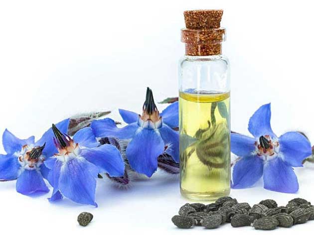 خواص شگفت انگیز گل گاوزبان برای اعصاب و استرس + خواب و تقویت حافظه