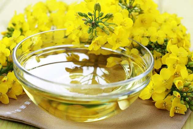 مهمترین خواص شگفت انگیز کانولا برای قلب، مغز + اضطراب تا پوست و مو