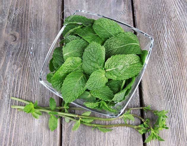 خواص نعناع برای سلامتی انسان