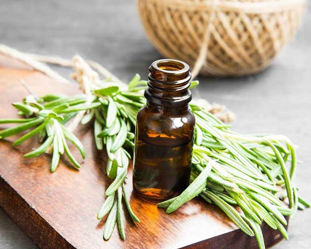 خواص رزماری برای لاغری