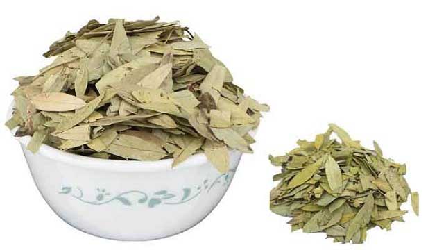 مهمترین خواص برگ سنا برای اضطراب، اعصاب + سرطان تا گوارش