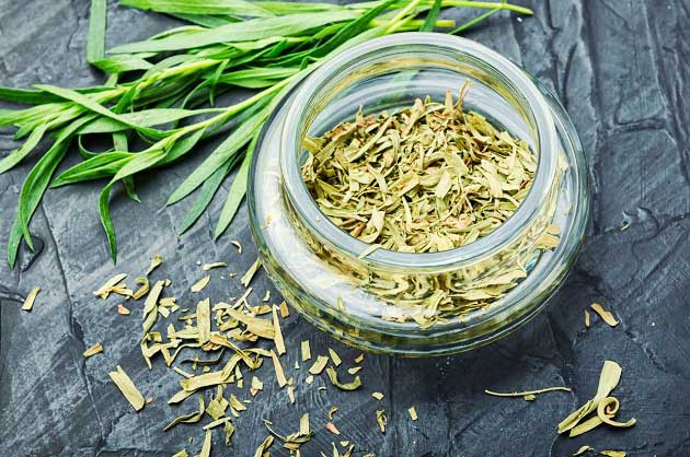 خواص ترخون برای آسم و مشکلات تنفسی