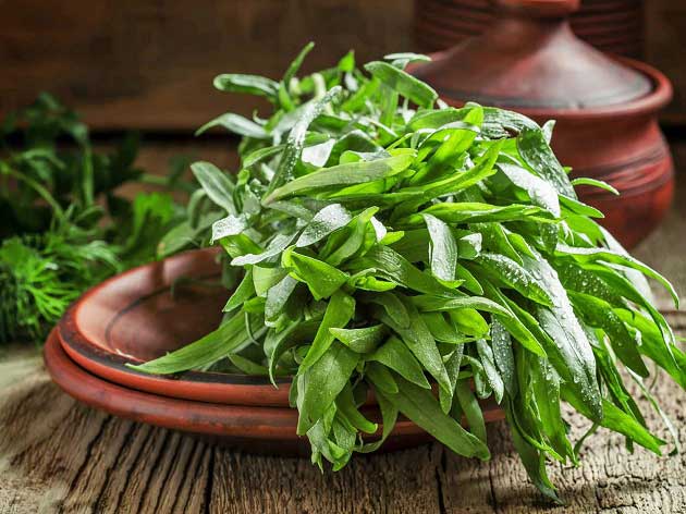 مهمترین خواص ترخون برای آرامش، افزایش اشتها + آسم و مشکلات گوارشی