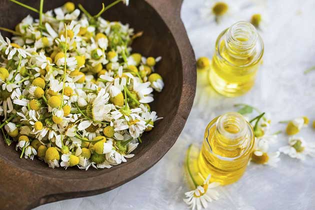 خواص بابونه برای پوست + روش های طبیعی برای داشتن پوست سالم، زیبا و بدون چروک