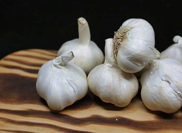 خواص سیر برای مردان + افزایش انرژی و حفظ سلامتی در زندگی روزمره