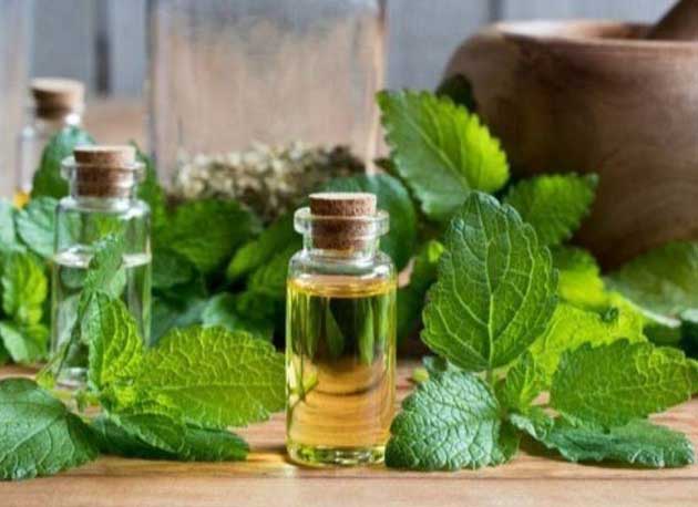 خواص بادرنجبویه برای قاعدگی خواص بادرنجبویه برای قاعدگی