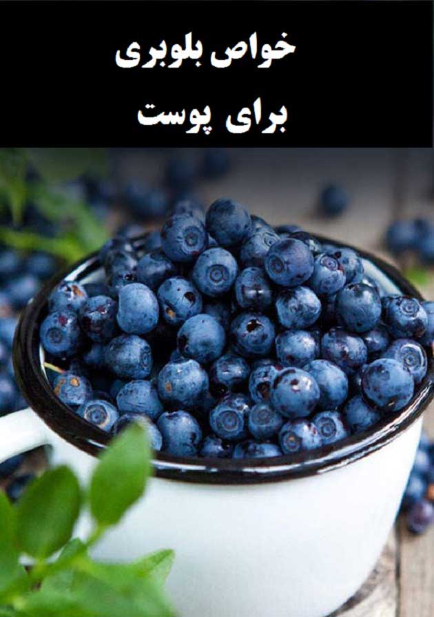 خواص بلوبری برای پوست خواص بلوبری برای پوست