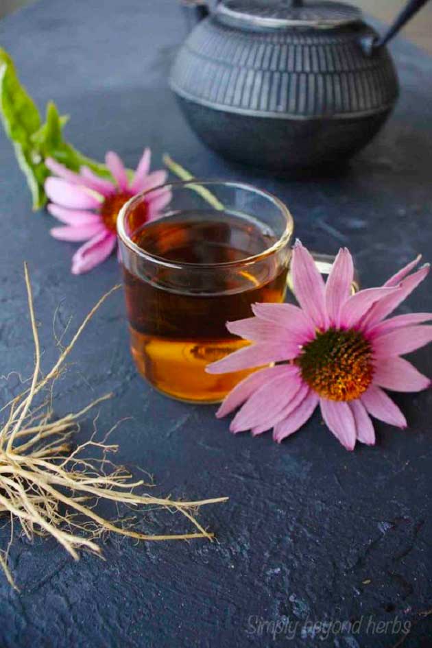 خواص سرخارگل برای سرماخوردگی