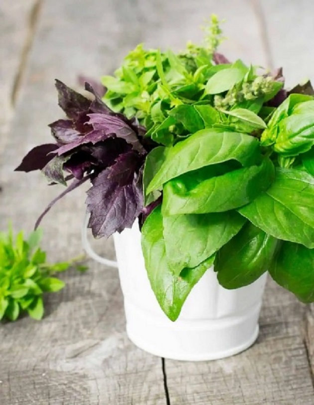 خواص ریحان برای عفونت