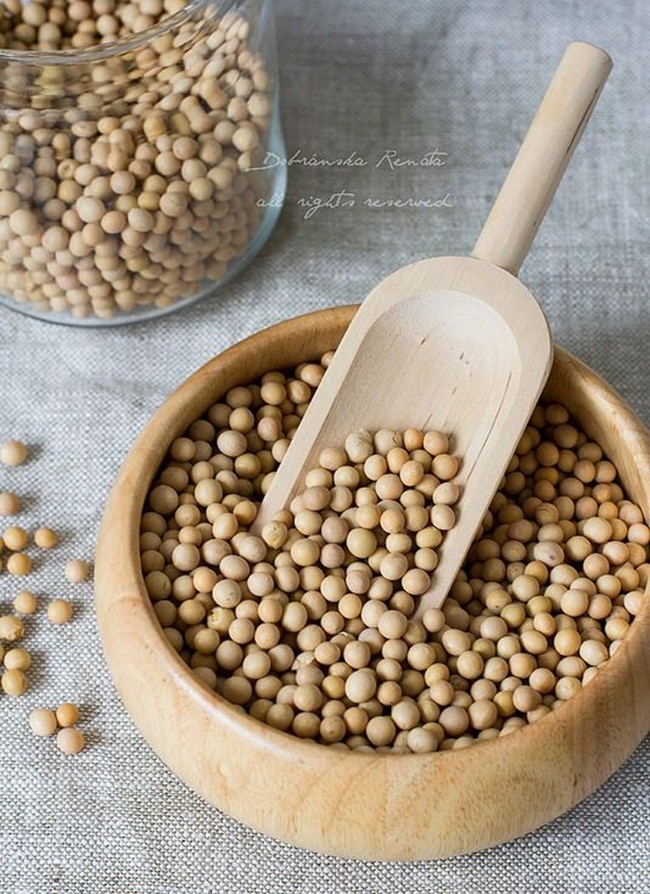 خواص سویا برای لاغری