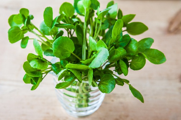 خواص شاهی برای پوست