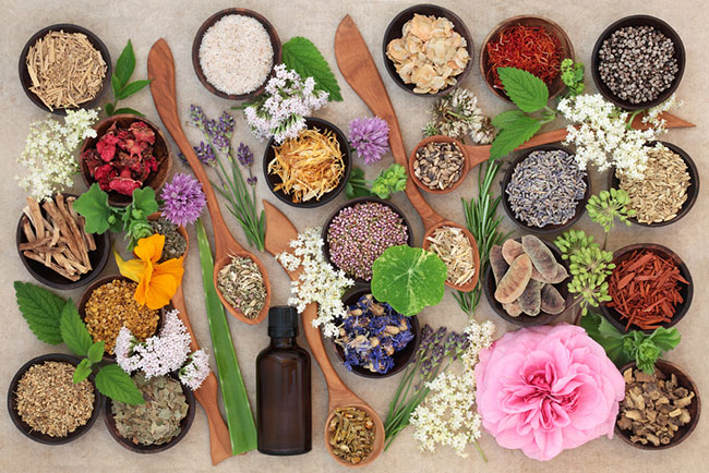 مهمترین مواد غذایی برای تغذیه مناسب پوست صورت