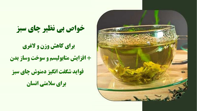 خواص چای سبز برای لاغری
