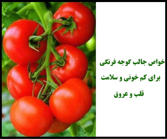 مهمترین خواص گوجه فرنگی برای درمان کم خونی و جلوگیری از بیماری های قلبی