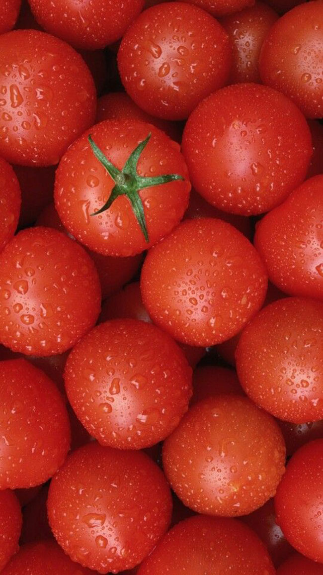فواید گوجه فرنگی برای کم خونی و روش مصرف آن